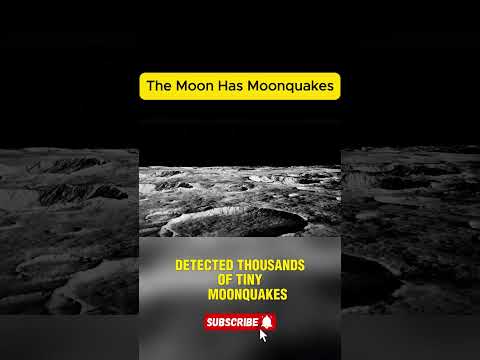 The Moon Is Shaking with Quakes! 🌕🌍😱 #universe