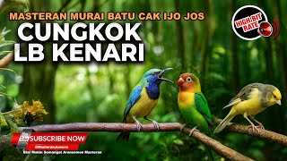 Download lagu Masteran Kompilasi Jalur Pukulan Cucak Cungkok Isian Bajing Kekes Siri-siri vs Kenari Isian Lovebird mp3