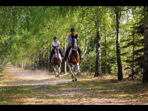 Agroturystyka Sokole Ranczo - lekcje jazdy konnej na Jurze Krakowsko-Częstochowskiej