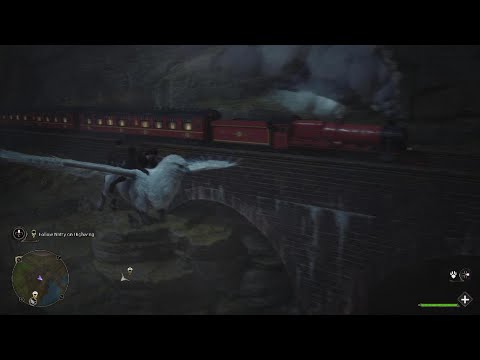Hogwarts Legacy- First Hippogriff Flight