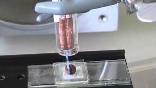 LTP-MSI prototype (labABI)