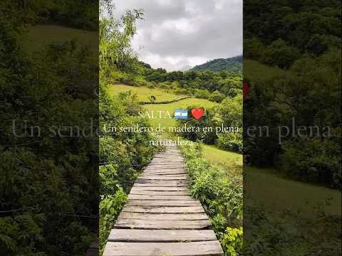 El camino escondido de Salta: pasarela de madera en plena naturaleza 🇦🇷❤️