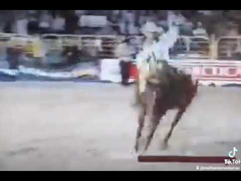 NILTON DONIZETE TUQUINHA X DIVÓRCIO - RODEIO DE AMERICANA 1998