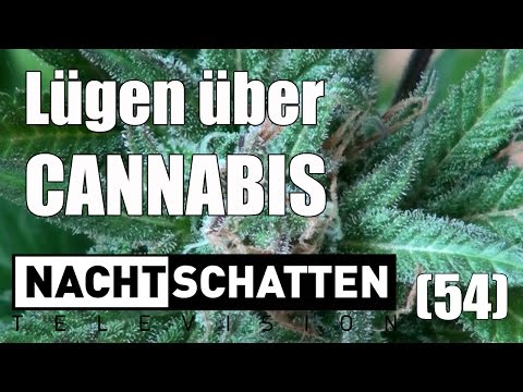 Lügen über Cannabis | Nachtschatten Television (54)