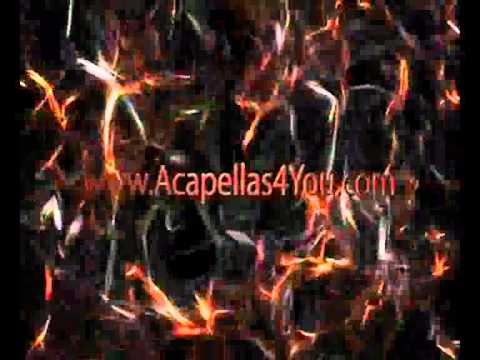 LMFAO ft. lauren bennett goonrock- Party Rock athem ( Acapella )