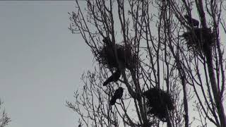 HÍREK A TERMÉSZETBŐL