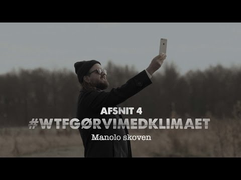 Forurening - Afbrænding af træer medfører CO2-udledning