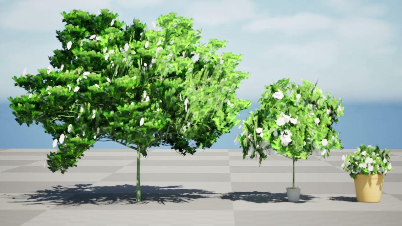 Gardenia Shrub Pack 3D Model