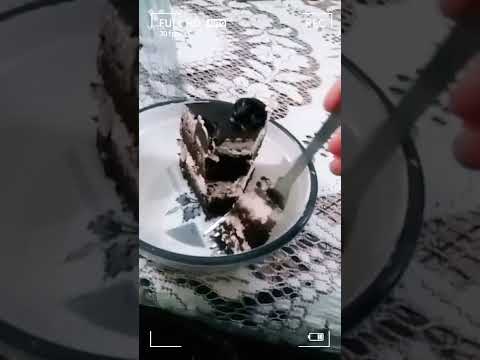 chocolate cake from gourmet Bakery 🥯 | chocolate cake | death of chocolate | dark chocolate | spongy
