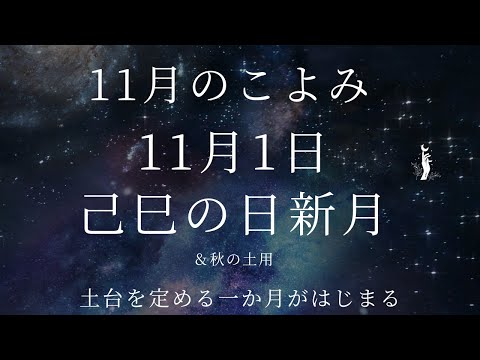 旧暦 2022 年 3 月 植物、葉、穀物、ハーブ、キュウリ