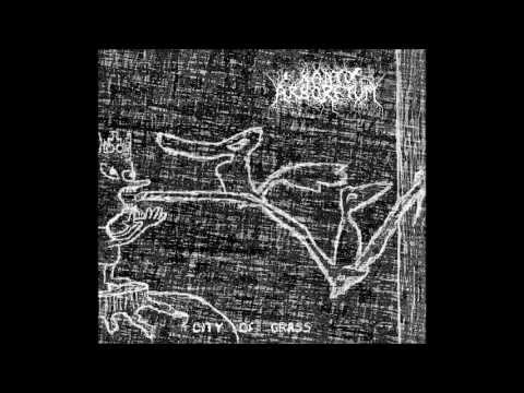 Kanto Arboretum - City of Grass