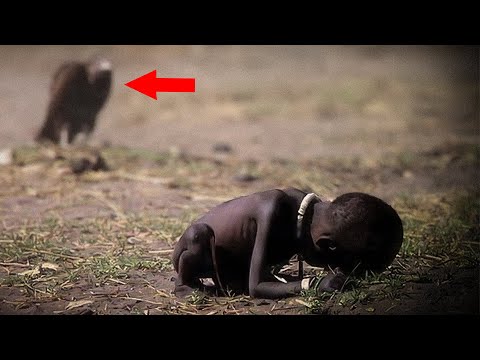 The Tragic Tale of The Photograph that Killed it's Photographer - Kevin Carter