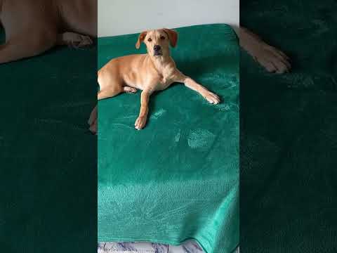 21 de outubro de 2023