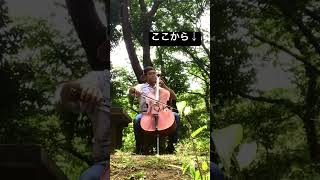 Download lagu #公園チェロ #サン=サーンス #白鳥 mp3