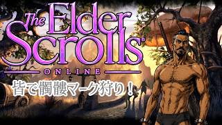 ≪ESO≫ランダムダンジョンとか行かないか≪PC版≫