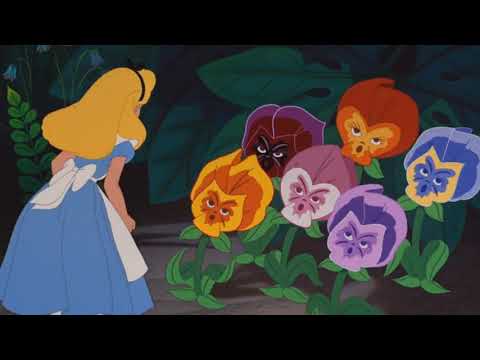 Animateds Inc Part 16 The Trash Compactor