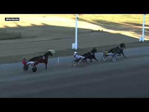 Prova di riqualifica cavalli anziani - domenica 10 luglio 2022