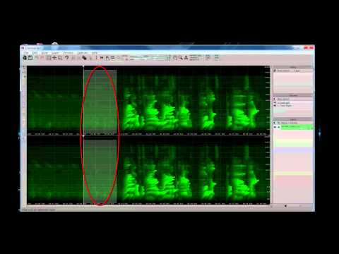 Sony Sound Forge & Spectral Layers Video Tutorial #1: Hiss Removal