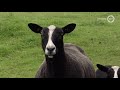 Gelderland helpt - Kun je wel een hart onder de riem gebruiken? Rijd dan (virtueel) mee met de Gelu…