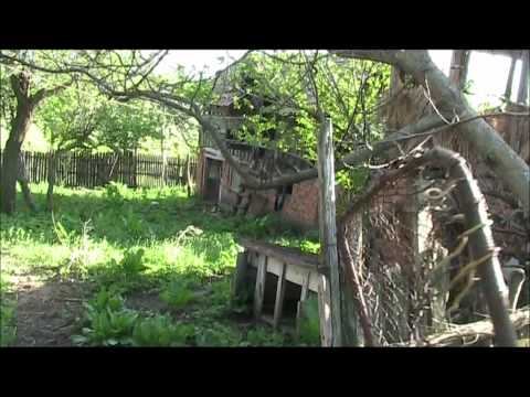 ACARETURI BALEASA.wmv