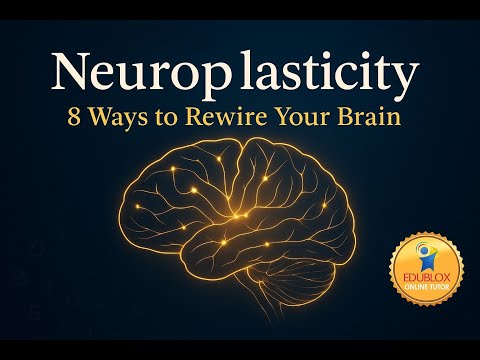 Neuroplasticity: 8 Ways to Rewire Your Brain