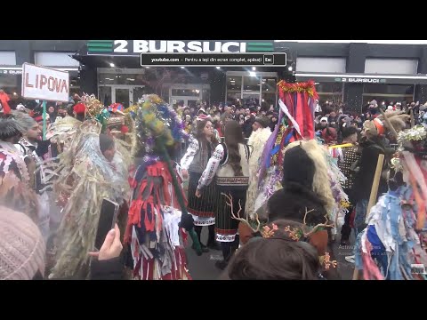 Goat from Lipova at the Bacau Winter Customs and Traditions Parade 2025