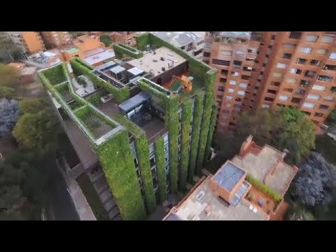 A függőleges kertek tehetik élhetővé a jövő városát