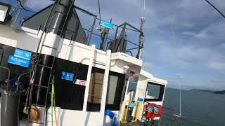 preview picture of video 'Seatran ferry from Donsak to Koh Samui'