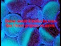 paroles musique bonne année 2014 