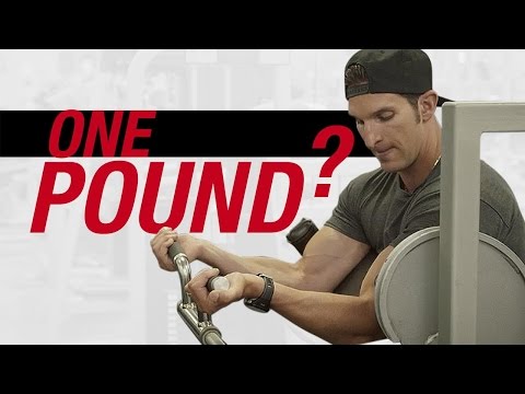 download lagu mp3 mp4 Muscle Building Secrets, download lagu Muscle Building Secrets gratis, unduh video klip Muscle Building Secrets