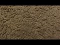 Corbin Petty S Broken Chicago VHS Part Two