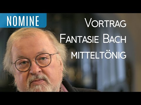 Die mitteltönige Schnitger-Orgel in Stade verleiht Bach's g-Moll Fantasie BWV 542 neue Farbigkeit