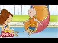 Caillou And The BIG SLIDE Cartoon Movie Funny Animated Cartoon