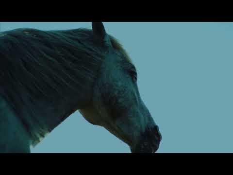 Open video