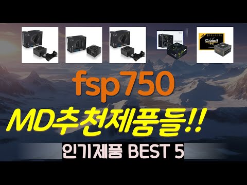 fsp750 추천, 최신 인기제품~! 가성비 TOP5