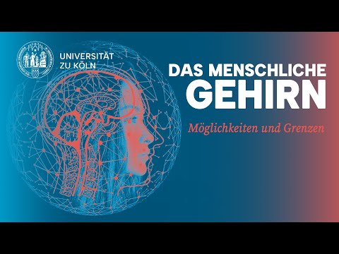 Das menschliche Gehirn: Möglichkeiten und Grenzen