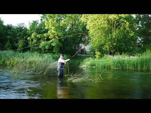 Eumer Tosi Iisi Meritaimen first cast