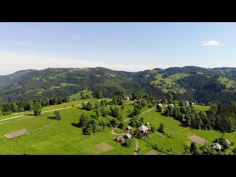 Negesti - Scarisoara road /Timelapse 4k