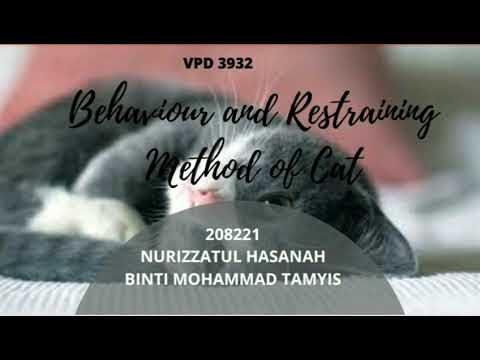 VPD 3932: THE BEHAVIOUR AND RESTRAINING METHOD OF CAT
