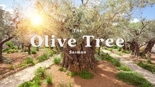 The Olive Tree Sermon