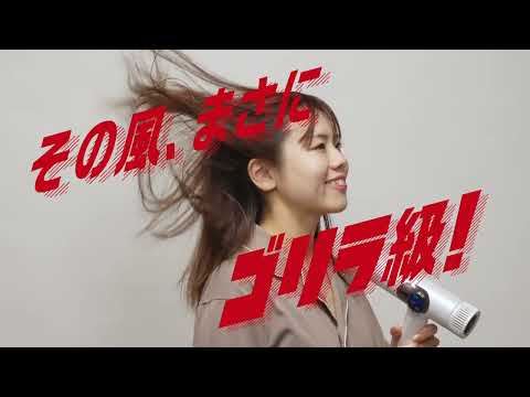 ゴリラのひとふき ハイパワーゴリラドライヤー ホワイト GRD-2501WH