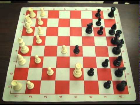 Haines City High School Chess from Polk Scholastic Players