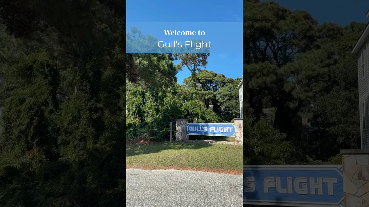 Gull's Flight (Community)