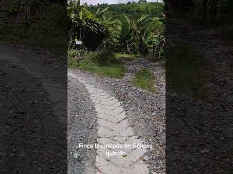 finca la cascada en Génova quindio#paisajesextremos #vistashermosas #naturaleza #viajes