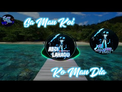 Sa Mau Koi , Ko Mau Dia || Spektrum || Remix