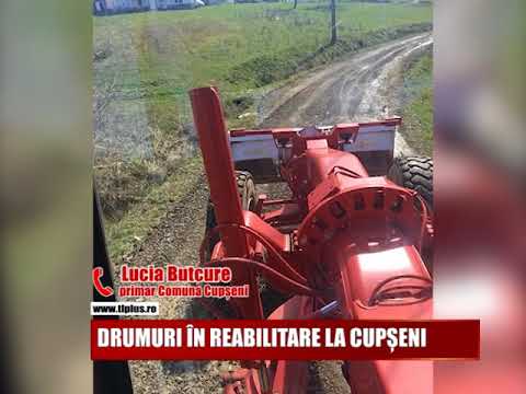 DRUMURI ÎN REABILITARE LA CUPȘENI