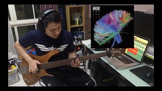 Muse - Panic Station Bass Cover