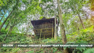 Green Cabana Resort Wayanad Review Video 1 Magical Scotland - 4K Scenic Relaxation Film with Calming Music