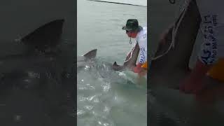 Hôtel Kasa Afrikana