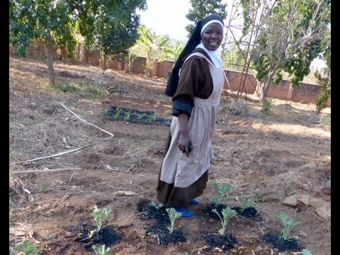 Sustainable Farming: Relieve Hunger in East Africa